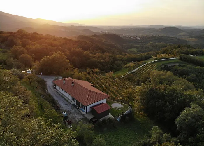 Karol-ina Estate Branik